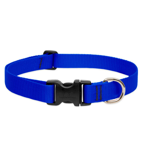 Lupine Pet Basic Solids Dog Collar