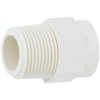 Charlotte Pipe 3/4 In. Male Thread to CPVC Adapter
