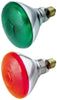 100W GREEN OUTDOOR  BULB