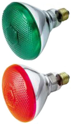 100W GREEN OUTDOOR  BULB
