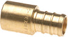 BRASS ADAPTER 1/2 IN