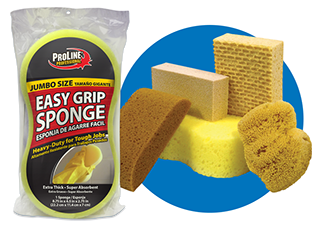 Intex Sponges